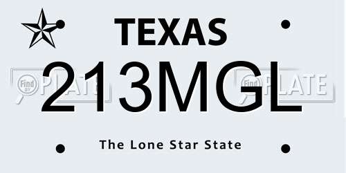 213MGL Texas License Plate