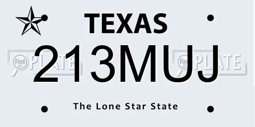 213MUJ Texas License Plate