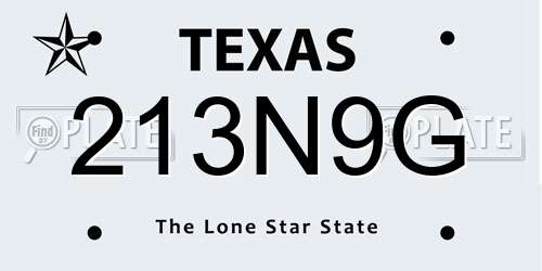 213N9G Texas License Plate