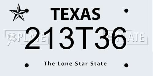 213T36 Texas License Plate