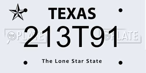 213T91 Texas License Plate