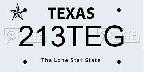 213TEG Texas License Plate