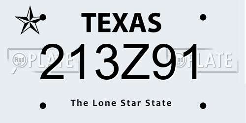 213Z91 Texas License Plate