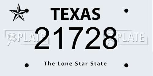 21728 Texas License Plate