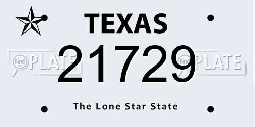 21729 Texas License Plate