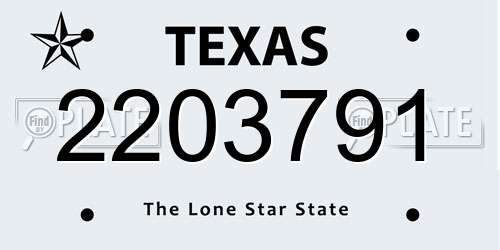 2203791 Texas License Plate