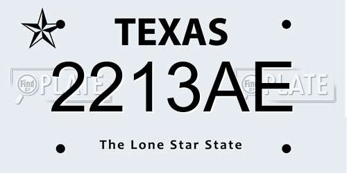 2213AE Texas License Plate
