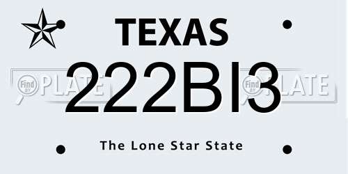 222BI3 Texas License Plate