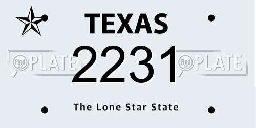 2231 Texas License Plate