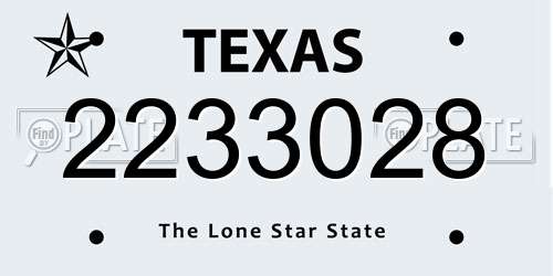 2233028 Texas License Plate
