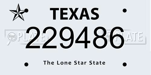 229486 Texas License Plate