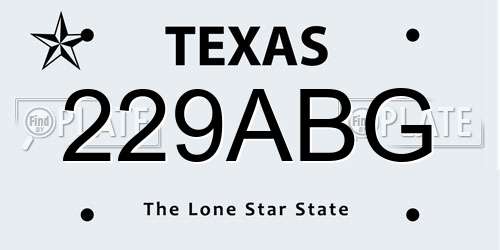 229ABG Texas License Plate