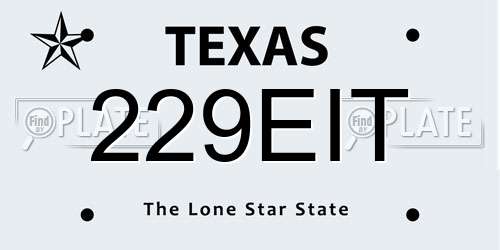 229EIT Texas License Plate