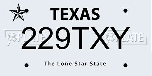 229TXY Texas License Plate