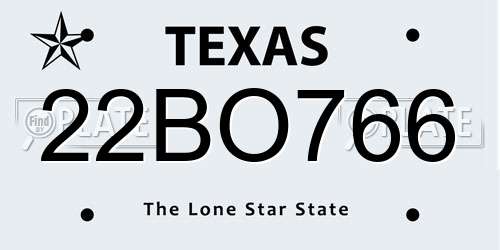 22BO766 Texas License Plate