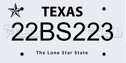 22BS223 Texas License Plate