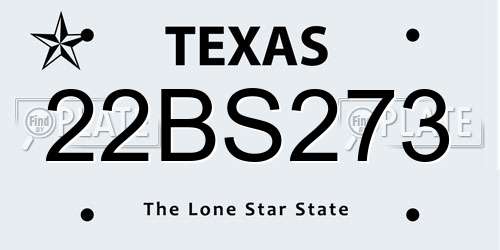 22BS273 Texas License Plate