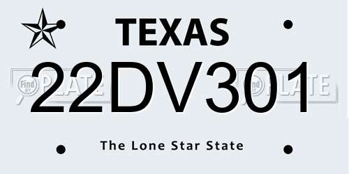 22DV301 Texas License Plate