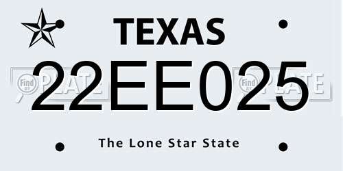 22EE025 Texas License Plate