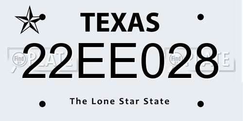 22EE028 Texas License Plate