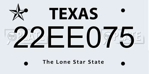 22EE075 Texas License Plate