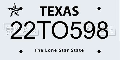 22TO598 Texas License Plate
