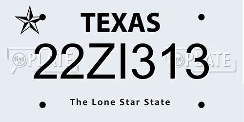 22ZI313 Texas License Plate