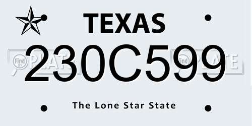 230C599 Texas License Plate