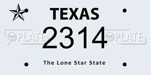 2314 Texas License Plate