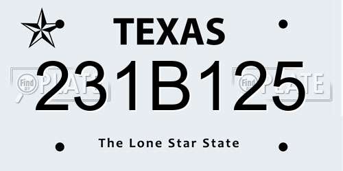 231B125 Texas License Plate