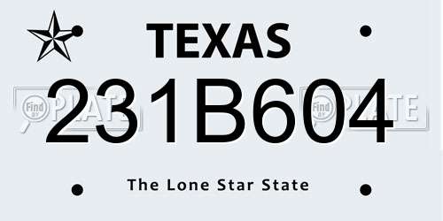 231B604 Texas License Plate