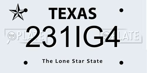 231IG4 Texas License Plate