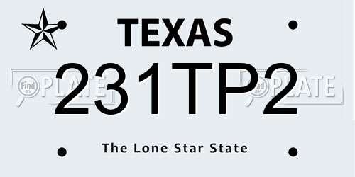 231TP2 Texas License Plate
