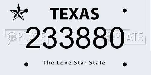 233880 Texas License Plate