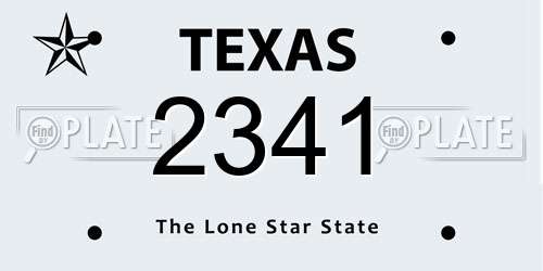 2341 Texas License Plate