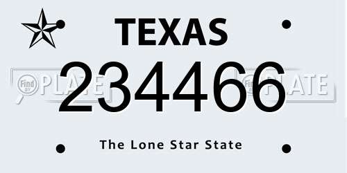 234466 Texas License Plate