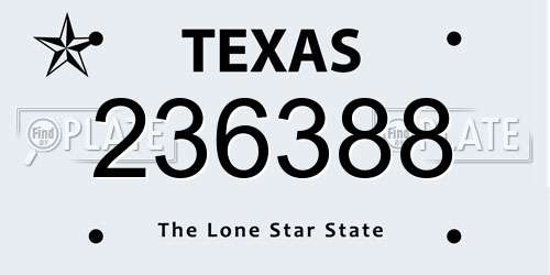 236388 Texas License Plate