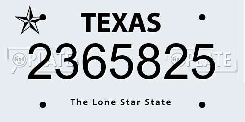 2365825 Texas License Plate