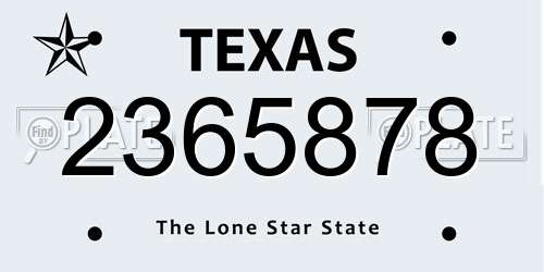 2365878 Texas License Plate