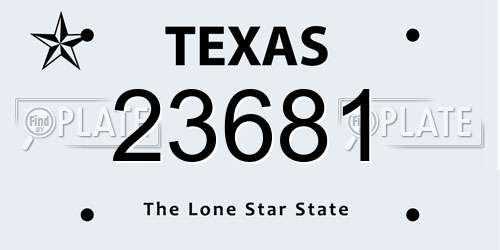 23681 Texas License Plate