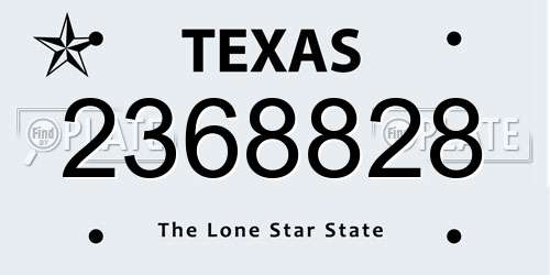 2368828 Texas License Plate