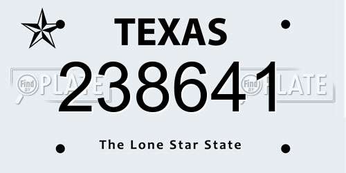 238641 Texas License Plate