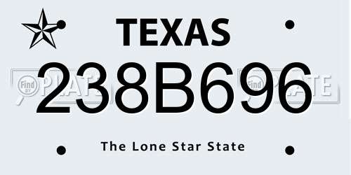 238B696 Texas License Plate