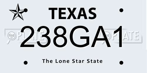 238GA1 Texas License Plate
