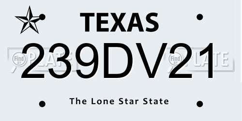 239DV21 Texas License Plate