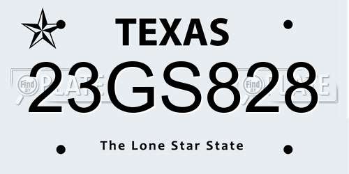 23GS828 Texas License Plate