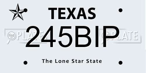 245BIP Texas License Plate