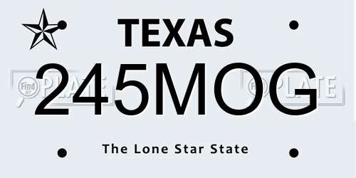 245MOG Texas License Plate
