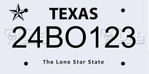 24BO123 Texas License Plate
