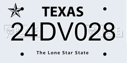24DV028 Texas License Plate